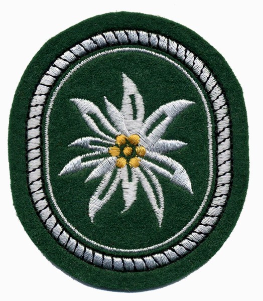 Patch personalizzate ricamate Stella Alpina